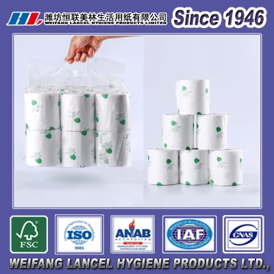 Großhandel mit biologisch abbaubaren Toilettenpapierrollen